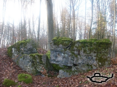 tl203